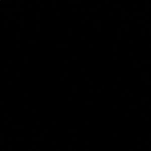 Meet your Posher, Arlene